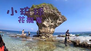 【小琉球─花瓶岩】全世界海龜密度最高的小島｜自由潛水