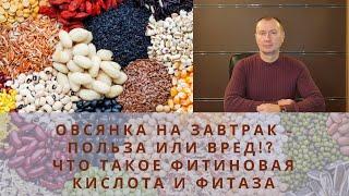 ОВСЯНКА НА ЗАВТРАК - ПОЛЬЗА ИЛИ ВРЕД!? ЧТО ТАКОЕ ФИТИНОВАЯ КИСЛОТА И ФИТАЗА.