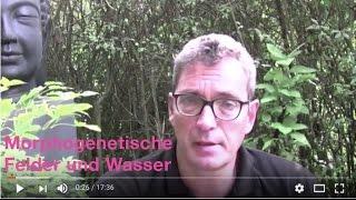 Wissen der neuen Zeit Video - morphogenetische Felder und  die Bedeutung von Wasser