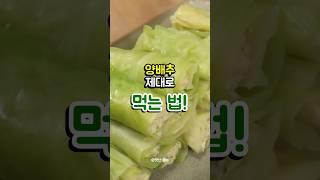 양배추 먹어야 하는 이유와 제대로 먹는 법까지~! #쇼츠 #음식 #상식