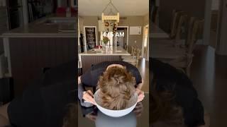 My Morning routine! 