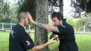 TINEA KOMBAT Master Danilo Rossi  new Blade Kombat part 2