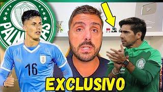 EXCLUSIVOBRIAN RODRIGUEZ SERIA UMA BOA? | TORCEDORES NO PÉ DO ABEL? | NOTÍCIAS DO PALMEIRAS