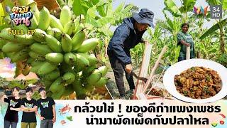 กล้วยไข่ ! ของดีกำแพงเพชร นำมาผัดเผ็ดกับปลาไหล อ.โกสัมพีนคร | ตามอำเภอจาน | 1 ต.ค. 67 Full EP