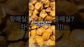 황매실 홍매실 청매실 차이 알아보기! 황매실청 담기#shorts