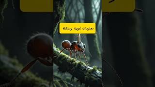 أغرب 5 معلومات في العالم… رقم 1 صدمة!"#معلومات #مخلوقات_غريبة #العلم #حقائق #اكسبلور #علم_الحياة