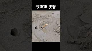 단돈 3,000원에 맛조개 맛집?! 다 잡아가라는 진산리갯벌체험장 #shorts