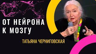 Сложнейшая нейронная сеть...Татьяна Черниговская