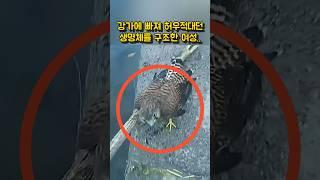 A woman rescued a struggling creature from the river.