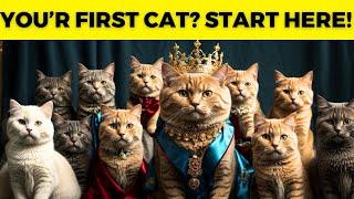 10 best cat breeds for first time owners | First Cat? Dive into the Top Breeds Every Owner MUST Know