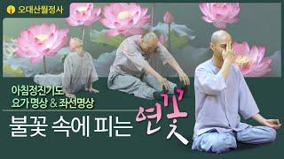 불꽃속에피는연꽃 12월 22일 아침정진기도 | 스님과 함께하는 요가명상과 좌선명상 | Guided Daily Meditation