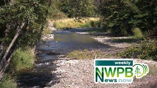 NWPB Weekly News Now - June 21, 2024