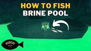 How To Fish in Brine Pool in Fisch | Brine Pool Location | Roblox