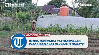 Kebun Basudara Pattimura Jadi Wadah Belajar di Kampus Unpatti