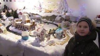 2016 01 06 Выставка пряничных домиков