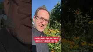 #permaculturegarden #garden #nodiggardening #gardendesign #vegetablegarden #gardening #homesteading