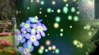 經典淨心佛曲 一聲佛號一聲心(古箏：鍾嘉鳳)(Chinese traditional music/zither)/心靈音樂
