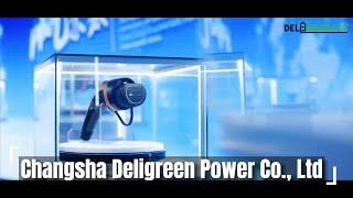 Deligreen Power Co., Ltd -  Lithium Ion Battery Manufacturer