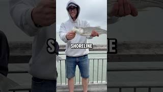 Day In The Life: Shoreline Charter Guide!