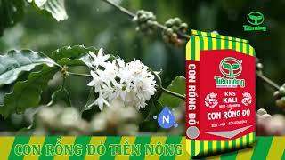 PHÂN BÓN CON RỒNG ĐỎ TIẾN NÔNG - DIỆN MẠO MỚI - NĂNG SUẤT TỐI ƯU