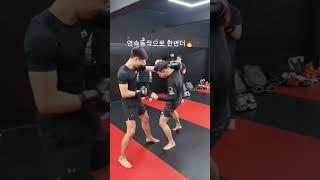 무조건 KO나오는 바디샷 #격투기 #권원일 #mma #바디샷 #피보이mma #피보이 #복싱