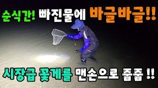 순식간 !!빠진물에 바글바글 ~!!  시장급 꽃게를 맨손으로 줍줍 ~!!