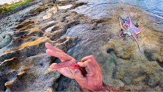 Hunting  In Tidepools!