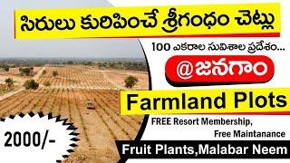 Farm Land For Sale near Janagom | Warangal highway