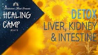 Sound & Color Therapy for Liver, Kidney & Intestine Detox | Healing Camp #Day 9