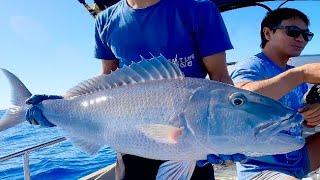 Bottom Fishing for QUEEN SNAPPER and a 18LB JOBFISH UKU!