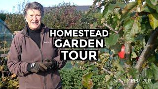 Homestead Garden Tour | November 2019 | Byther Farm