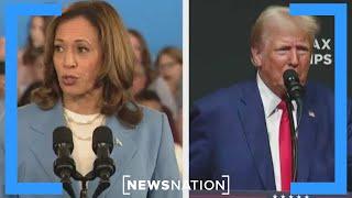 US faces national security danger if Harris wins: Ex-Rep. Deutsch | NewsNation Live