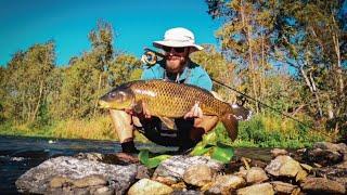 Euro Nymphing on the Vaal River - Fly Fishing October 2021