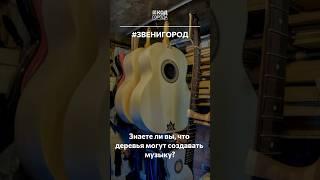 Как природа и мастерство создают музыку. #Звенигород #Россия #КодГорода