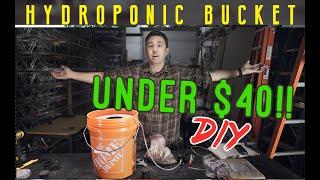 Hydroponics Bucket Grower for UNDER $40! DIY Build. DWC Deep Water Culture hydro grow station.