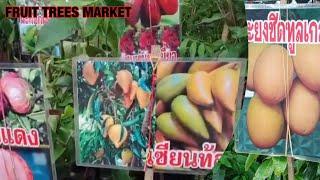 FRUIT TREES and FLOWER MARKET in Kamphaengphet Road Thailand