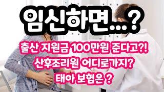 임신했다면~!!? 꼭 필요한 정보!! #shorts