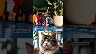 Cat reaction will shocked you.  #cat #funny #meme #meow #duet