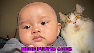 ANAK KUCING KETEMU DEDE BAYI