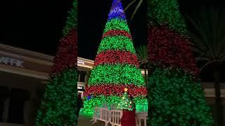 Irvine Spectrum Christmas tree & Ice-Skating Rink ️