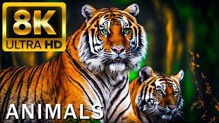 TOP 50 BEAUTIFUL ANIMALS - 4K HDR 120fps Dolby Vision with Animal Sounds (Colorfully Dynamic)