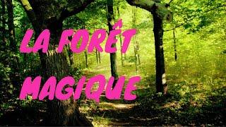 La forêt magique - VISUALISATION GUIDÉE - Le Cocon de Coton