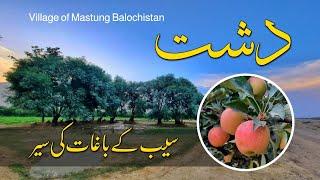 Dasht Mastung | Dasht Quetta Balochistan | Apple Garden | QADEER QUETTA | Episode 11