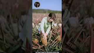  கடைசி வரை பாருங்க | different fruits | FactHub_Official | #shorts #shortsfeed #fruit