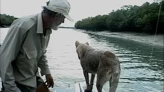 Malcolm Douglas - Australia - In Search Of The Big Barra (Part 2) 2000