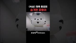 동호회 다 뿌시러 간다  일단 축구부터 봅시다 _ #shorts