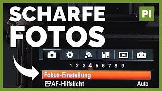 Welcher Fokusmodus für scharfe Fotos? Kamera Einstellungen und Tipps!