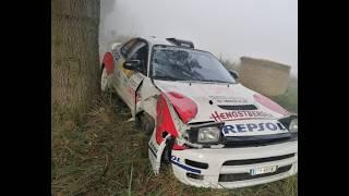 Herbstrallye Dobersberg 2024 | Best of Crash and Action | Neuville WRC Test | 1 Corner many Mistakes