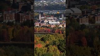 We can’t beleaf how beautiful fall is in Binghamton! #binghamtonuniversity #college #fall