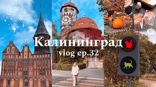  vlog ep. 32 : Калининград, Зеленоградск, Светлогорск  autumn halloween vibes